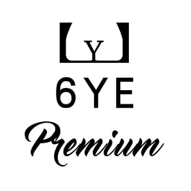 6ye Premium Doll - Sex Doll Brand